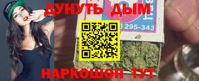 стафф Гай