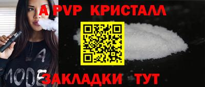 стафф Гай